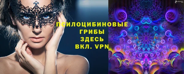 марихуана Абаза