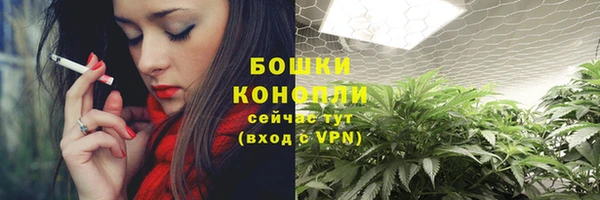 ГАЛЛЮЦИНОГЕННЫЕ ГРИБЫ Осинники