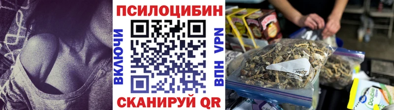 Псилоцибиновые грибы Magic Shrooms  Тбилисская 